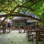 7e93ec40d6b911e89db20242ac110006-870x555