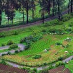 Ooty_BirdsEye_Pixabay_120321_1200-870x555