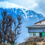 Untitled-design-2-1-870x555 (1)