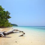 WhatsApp-Image-2021-11-03-at-11.03.15-870x555