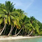 andaman-1-870x555 (1)