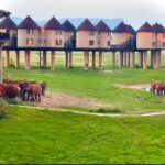 WhatsApp Image 2025-06-21 at 12.50.43 PM