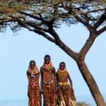 WhatsApp Image 2025-06-21 at 12.50.44 PM