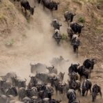 WhatsApp Image 2025-06-21 at 12.50.45 PM