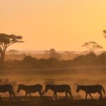 WhatsApp Image 2025-06-21 at 12.50.47 PM