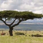 WhatsApp Image 2025-06-21 at 12.51.44 PM (1)