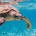 WhatsApp Image 2025-06-23 at 12.18.27 PM