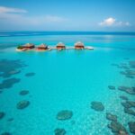 WhatsApp Image 2025-06-23 at 12.18.28 PM (1)