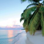 WhatsApp Image 2025-06-23 at 12.18.29 PM