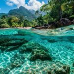 WhatsApp Image 2025-06-23 at 12.18.30 PM (1)