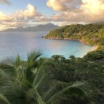 WhatsApp Image 2025-06-23 at 12.19.08 PM (1)