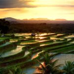 WhatsApp Image 2025-06-24 at 6.08.32 PM