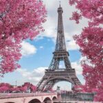 WhatsApp Image 2025-06-27 at 6.19.22 PM (1)