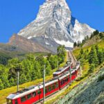 WhatsApp Image 2025-06-27 at 6.19.23 PM (2)