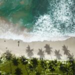 Andaman _ Best time to visit _ The Tarzan Way