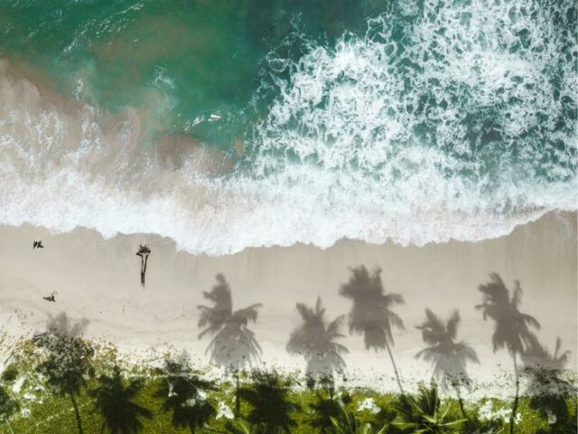 Andaman _ Best time to visit _ The Tarzan Way