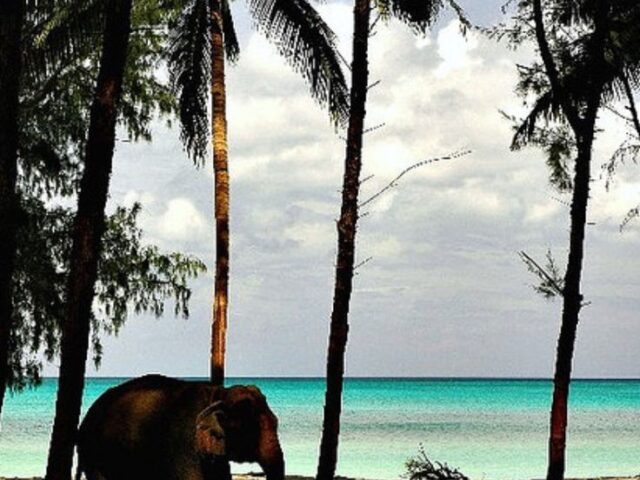 Havelock Island, Andamans