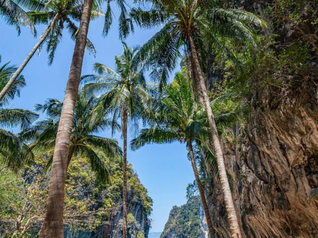 Phuket, Thailand