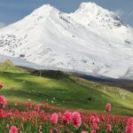 WhatsApp Image 2025-07-01 at 12.24.16 PM (1)