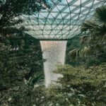 pexels-anytiffng-2434269