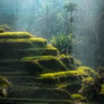 pexels-freestockpro-2100804