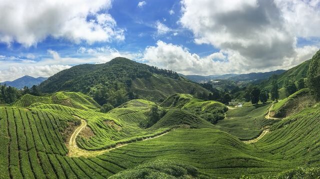 15 Best Day Trips from Kuala Lumpur - The Crazy Tourist