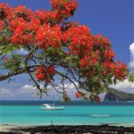 Mauritius, a Paradise Island in Africa - Sun & Beaches - Red Karawana