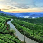 Munnar Town, Kerala, India 🇮🇳