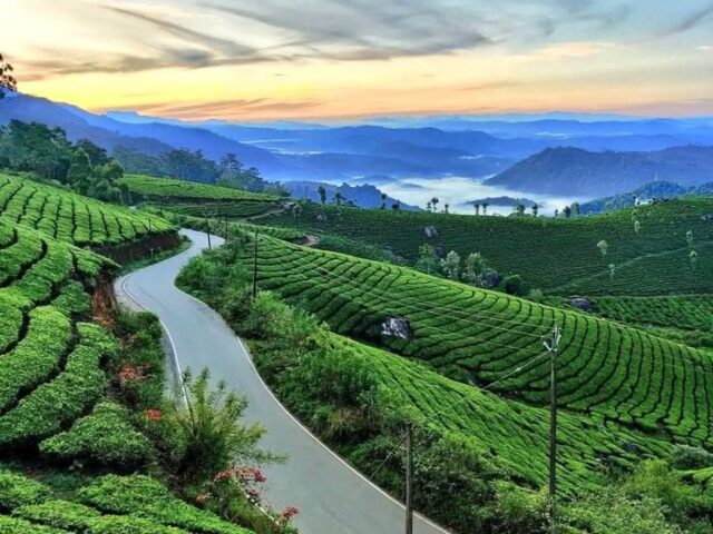 Munnar Town, Kerala, India 🇮🇳