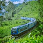 𝐍𝐚𝐧𝐮 𝐎𝐲𝐚, 𝐍𝐮𝐰𝐚𝐫𝐚 𝐄𝐥𝐢𝐲𝐚 𝐃𝐢𝐬𝐭𝐫𝐢𝐜𝐭 (1)