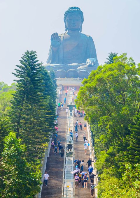 Asia@https://mytripvilla.com/location/asia/